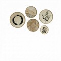 Tablou decorativ (5 Pieces), Huhu861, Lemn masiv (Grosime: 1,5 cm, Multicolor