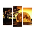 Tablou decorativ cu lumina LED (3 Pieces), 3PATDACT-26, Dimensiune: 20 x 39 cm (2 bucăți), Multicolor