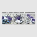 Set 3 tablouri decorative, DRPRC60, Cadru: 100% LEMN (grosime: 3 cm), Multicolor
