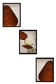 Tablou decorativ (3 Pieces), Huhu469S, Lemn masiv (Grosime: 2,5 cm, Multicolor