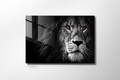 Tablou decorativ, UV-008, 70 x 100 cm, Multicolor