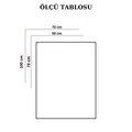 Tablou decorativ, ASR_CNV25-43, Cadru: 100% lemn (Grosime: 2 x 3 cm), Multicolor