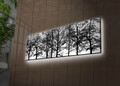 Tablou decorativ cu lumina LED, 3090DACT-72, 30 x 90 cm, Multicolor