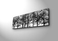 Tablou decorativ cu lumina LED, 3090DACT-72, 30 x 90 cm, Multicolor