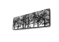 Tablou decorativ cu lumina LED, 3090DACT-72, 30 x 90 cm, Multicolor