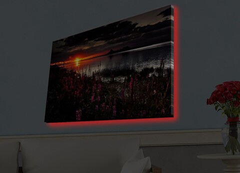 Tablou decorativ cu lumina LED, 4570HDACT-002, Dimensiune: 45 x 70 cm, Multicolor