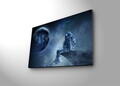 Tablou decorativ cu lumina LED, NASA-005, Dimensiune: 45 x 70 cm, Multicolor