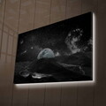 Tablou decorativ cu lumina LED, NASA-026, Dimensiune: 45 x 70 cm, Multicolor