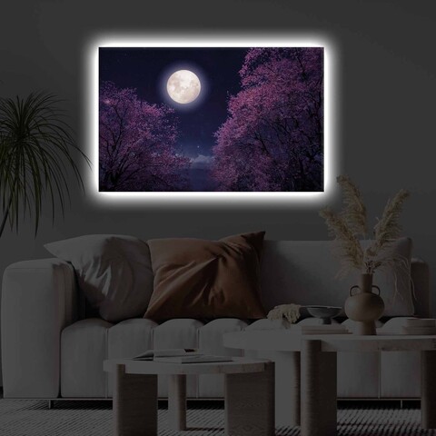Tablou decorativ cu lumina LED, 4570KTLGDACT, Dimensiune: 45 x 70 cm, Multicolor