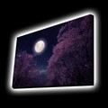 Tablou decorativ cu lumina LED, 4570KTLGDACT, Dimensiune: 45 x 70 cm, Multicolor
