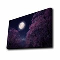 Tablou decorativ cu lumina LED, 4570KTLGDACT, Dimensiune: 45 x 70 cm, Multicolor
