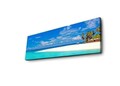 Tablou decorativ cu lumina LED, 3090DACT-30, 30 x 90 cm, Multicolor