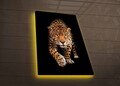 Tablou decorativ cu lumina LED, 4570DHDACT-055, Dimensiune: 45 x 70 cm, Multicolor
