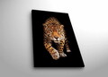 Tablou decorativ cu lumina LED, 4570DHDACT-055, Dimensiune: 45 x 70 cm, Multicolor