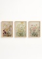 Set 3 tablouri decorative, Huhu711, Lemn masiv, Multicolor