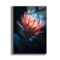 Tablou decorativ, Camtbl-052, 70 x 100 cm, Multicolor