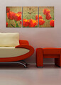 Ceas de perete (3 Pieces), 3P3040CS-69, 30 x 40 cm (3 bucăți), Multicolor