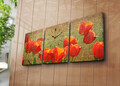 Ceas de perete (3 Pieces), 3P3040CS-69, 30 x 40 cm (3 bucăți), Multicolor