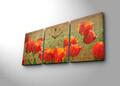 Ceas de perete (3 Pieces), 3P3040CS-69, 30 x 40 cm (3 bucăți), Multicolor