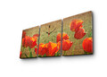 Ceas de perete (3 Pieces), 3P3040CS-69, 30 x 40 cm (3 bucăți), Multicolor