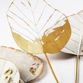 Decoratiune de perete, Feuille 2, Dimensiuni: 73 x 76 x 4 cm, Multicolor