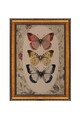 Tablou decorativ, ATCRCVCNVSMDL23, 50 x 70 cm, Multicolor