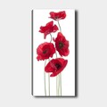 Tablou decorativ, DKY128322_50120, Rama din lemn (grosime 3 cm), Multicolor