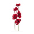 Tablou decorativ, DKY128322_50120, Rama din lemn (grosime 3 cm), Multicolor