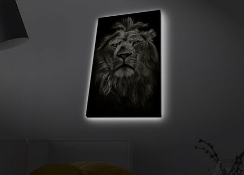 Tablou decorativ cu lumina LED, 4570MDACT-058, Dimensiune: 45 x 70 cm, Multicolor