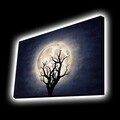Tablou decorativ cu lumina LED, 4570KTLGDACT, Dimensiune: 45 x 70 cm, Multicolor