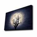 Tablou decorativ cu lumina LED, 4570KTLGDACT, Dimensiune: 45 x 70 cm, Multicolor