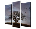 Set 3 tablouri decorative, UC009, 45 x 20 cm, Multicolor