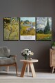 Set 3 tablouri decorative, Ersycnvs16, 50 x 70 cm, 3 piese, Multicolor