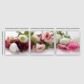 Set 3 tablouri decorative, P977100, Rama din lemn (grosime 3 cm), Multicolor