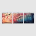Set 3 tablouri decorative, Pdrmnz3840, Rama din lemn (grosime 3 cm), Multicolor