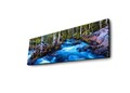 Tablou decorativ cu lumina LED, 3090DACT-38, 30 x 90 cm, Multicolor