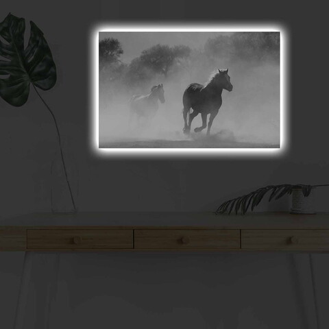 Tablou decorativ cu lumina LED, 4570DHDACT-125, Dimensiune: 45 x 70 cm, Multicolor