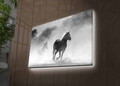 Tablou decorativ cu lumina LED, 4570DHDACT-125, Dimensiune: 45 x 70 cm, Multicolor