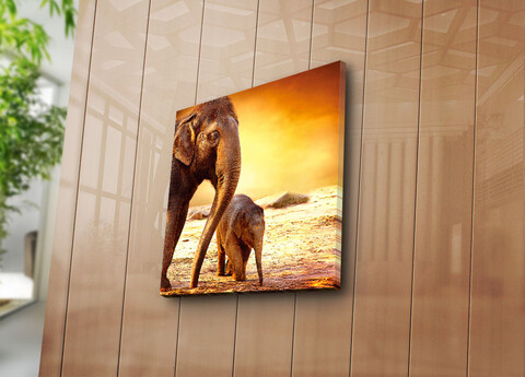 Tablou decorativ, 4545K-28, Dimensiune: 45 x 45 cm, Multicolor