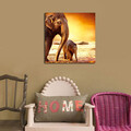 Tablou decorativ, 4545K-28, Dimensiune: 45 x 45 cm, Multicolor