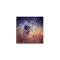 Tablou decorativ, 4545K-36, Dimensiune: 45 x 45 cm, Multicolor