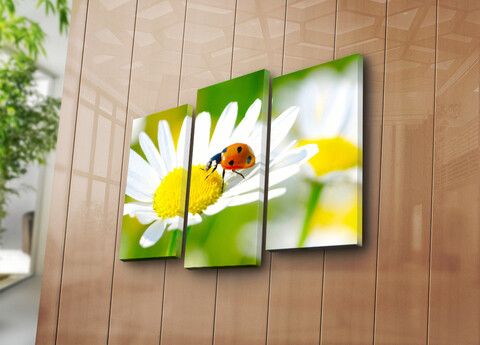 Set 3 tablouri decorative, 3PATK-77, 20 x 39 cm, 2 piese, Multicolor