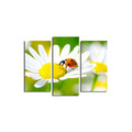 Set 3 tablouri decorative, 3PATK-77, 20 x 39 cm, 2 piese, Multicolor