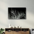 Tablou decorativ, CAM-3059, Dimensiune: 35 x 55 cm, Multicolor