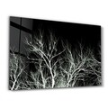 Tablou decorativ, CAM-3059, Dimensiune: 35 x 55 cm, Multicolor