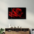 Tablou decorativ, OGLS-1208, Dimensiune: 35 x 55 cm, Multicolor