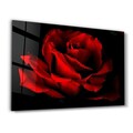 Tablou decorativ, OGLS-1208, Dimensiune: 35 x 55 cm, Multicolor