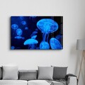 Tablou decorativ, OGLS-8061, Dimensiune: 35 x 55 cm, Multicolor