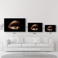 Tablou decorativ, CAM-2041, Dimensiuni: 46 x 72 cm, Multicolor
