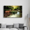 Tablou decorativ, CAM-3019, Dimensiuni: 46 x 72 cm, Multicolor